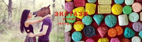 молекула духа Богородицк