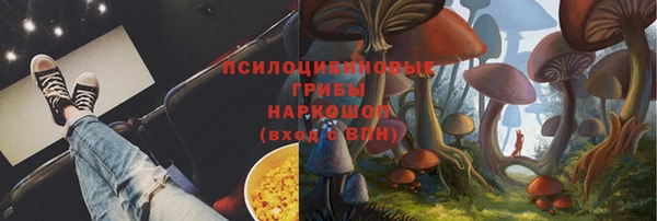 молекула духа Богородицк