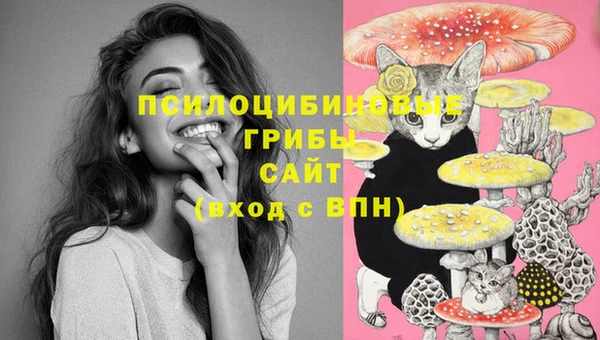 мяу мяу мука Богородск