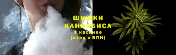 молекула духа Богородицк