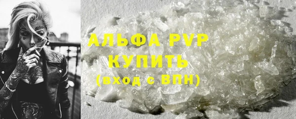 молекула духа Богородицк