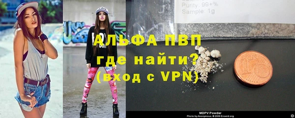 молекула духа Богородицк