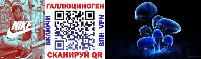 Купить где  Багратионовск  Галлюциногенные грибы Psilocybe 